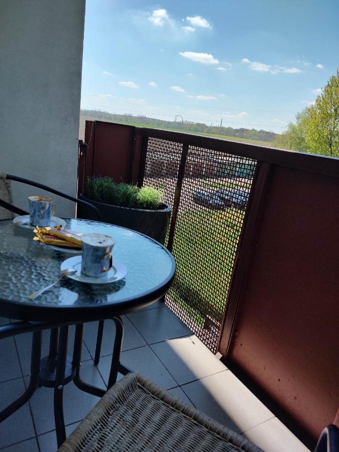 -jak W Domu- 60m2 Centrum Katowic 10km